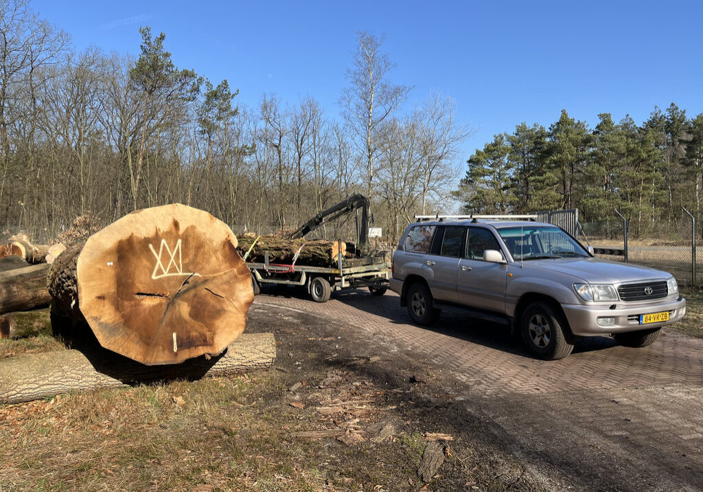 Hout via de rondhoutveiling - Acacia - Blom Houtbewerking (2)