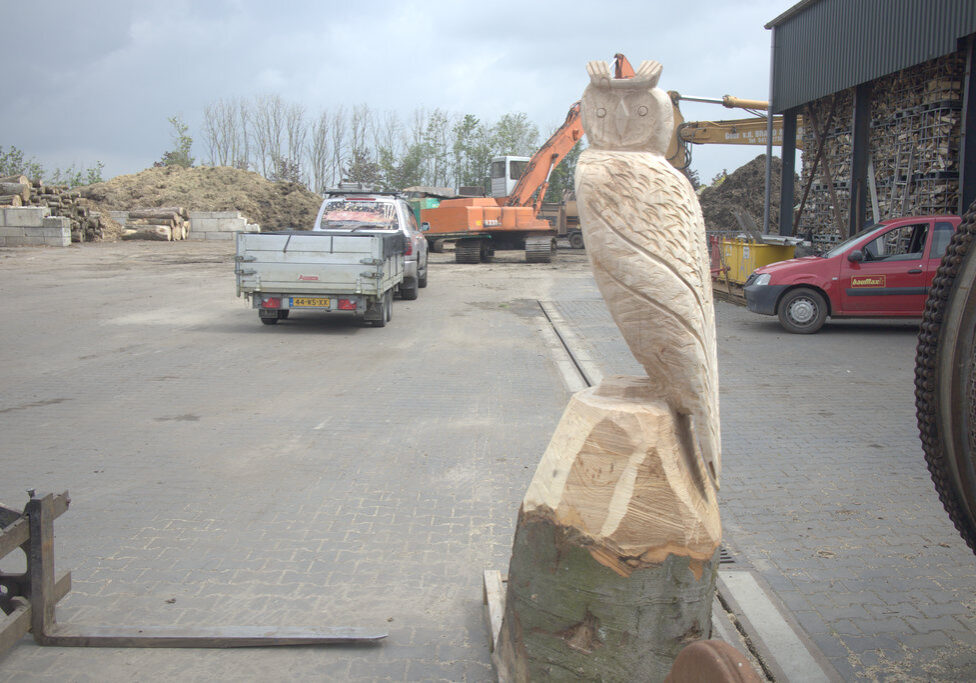 Uil uit boom - Blom Houtbewerking (1)